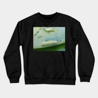 Caterpillar on a Lilypad Crewneck Sweatshirt